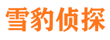 萝北找人公司